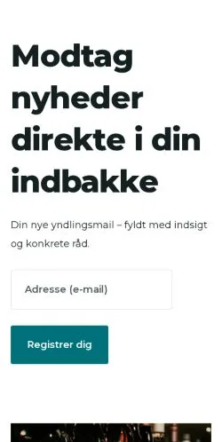 Vorschau der Website flerevine.dk, Medium aus Dänemark für gesponserte Artikel