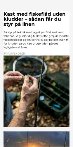 Vorschau der Website flotfisk.dk, Medium aus Dänemark für gesponserte Artikel