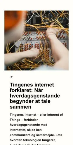 Anteprima del sito fritidonline.dk, media di Danimarca per articoli sponsorizzati