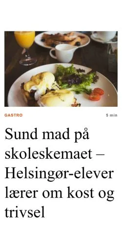 Forhåndsvisning af helsingoerplus.dk, medie fra Danmark til sponsorerede artikler