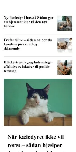 Forhåndsvisning af prodyr.dk, medie fra Danmark til sponsorerede artikler