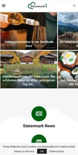 Aperçu du site Steiermark Eins, média de Autriche pour articles sponsorisés