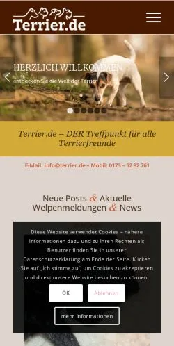 Vorschau der Website Terrier, Medium aus Deutschland für gesponserte Artikel