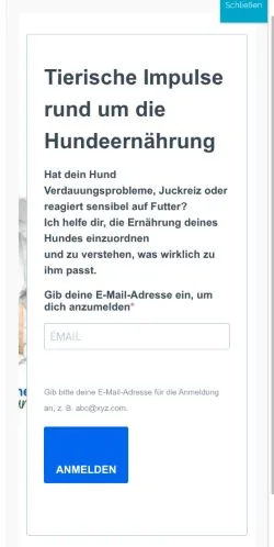 Anteprima del sito Hundeblog Mein-tierischer-Freund, media di Germania per articoli sponsorizzati