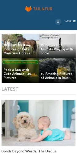 Preview of the Tailandfur website, a media outlet in United States for sponsored articles