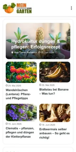 Anteprima del sito Start, media di Germania per articoli sponsorizzati