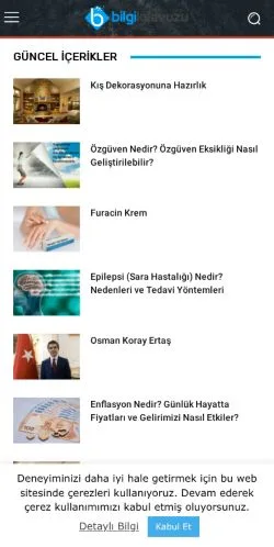 Anteprima del sito Bilgikılavuzu, media di Turchia per articoli sponsorizzati