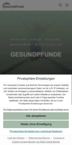 スポンサード記事向けのドイツメディア、Gesunde Pfundeのサイトプレビュー