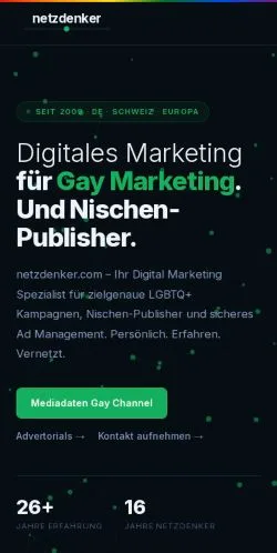 스폰서 기사용 독일 매체 Netzdenker 사이트 미리보기