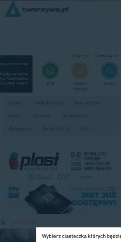 Podgląd witryny Tworzywa Sztuczne, medium z kraju Polska do artykułów sponsorowanych