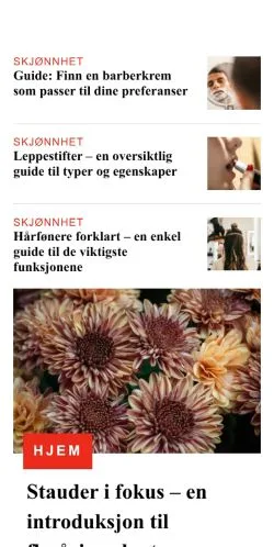 Forhåndsvisning af dametrender.com, medie fra Norge til sponsorerede artikler