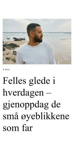 Sponsorlu makaleler için Norveç medyası farsflokk.com sitesinin önizlemesi