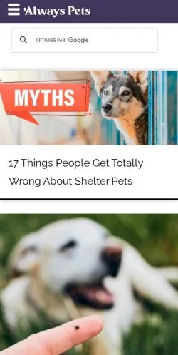 Forhåndsvisning av nettstedet Always Pets, medium fra USA for sponsede artikler
