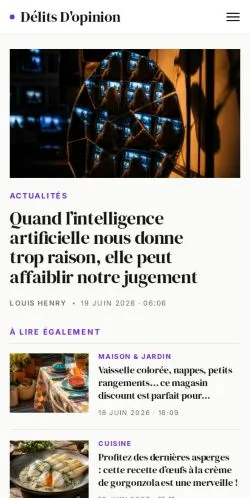 Anteprima del sito Délits D'opinion, media di Francia per articoli sponsorizzati