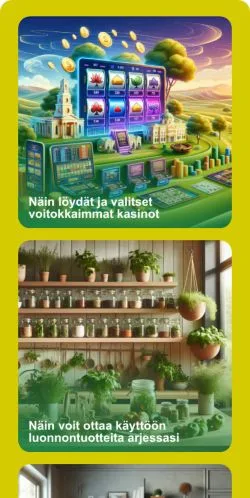 Anteprima del sito Juuri Lifestyle, media di Finlandia per articoli sponsorizzati