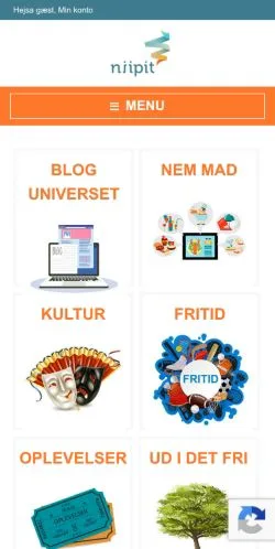 Voorbeeld van de site Niipit, medium uit Denemarken voor gesponsorde artikelen
