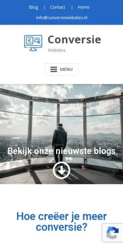 Anteprima del sito Conversie Websites, media di Paesi Bassi per articoli sponsorizzati