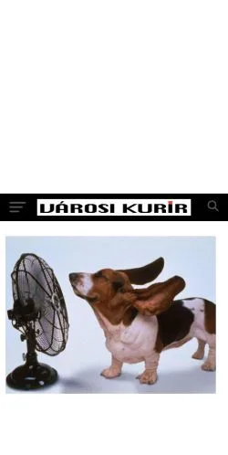 스폰서 기사용 헝가리 매체 Városi Kurír 사이트 미리보기