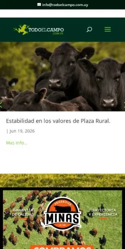 스폰서 기사용 스페인 매체 Todo El Campo 사이트 미리보기