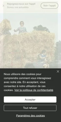 Anteprima del sito Mastic Lifestyle, media di Francia per articoli sponsorizzati
