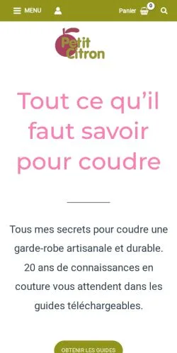 Aperçu du site Petit Citron, média de France pour articles sponsorisés
