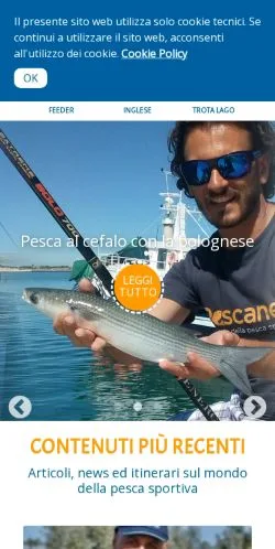 Anteprima del sito Pescanet, media di Italia per articoli sponsorizzati