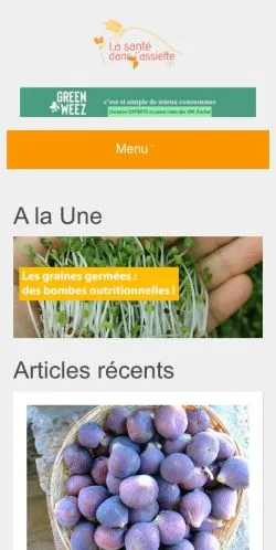 スポンサード記事向けのフランスメディア、La Santé Dans L'Assietteのサイトプレビュー