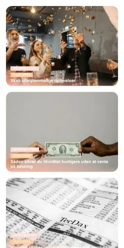 Aperçu du site Net Fakta, média de Danemark pour articles sponsorisés