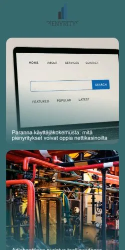 Podgląd witryny Pienyritys, medium z kraju Finlandia do artykułów sponsorowanych