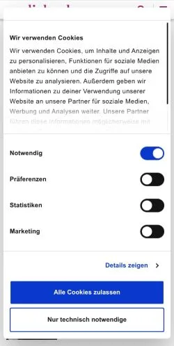Podgląd witryny Nurliebe, medium z kraju Niemcy do artykułów sponsorowanych