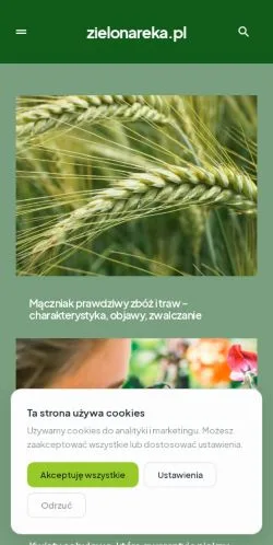 Podgląd witryny Zielona Ręka, medium z kraju Polska do artykułów sponsorowanych