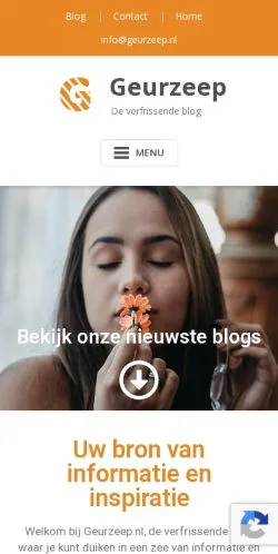 Podgląd witryny Geurzeep, medium z kraju Holandia do artykułów sponsorowanych