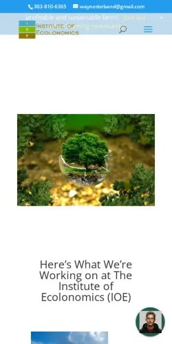 Pré-visualização do site Institute Of Ecolonomics, meio de Estados Unidos para artigos patrocinados