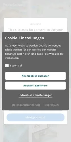 Anteprima del sito PaderZeitung, media di Germania per articoli sponsorizzati