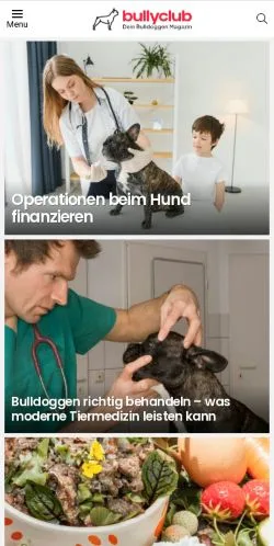 Anteprima del sito Bullyclub, media di Germania per articoli sponsorizzati