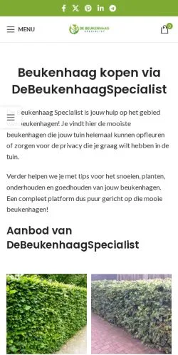 Anteprima del sito De Beukenhaag Specialist, media di Paesi Bassi per articoli sponsorizzati