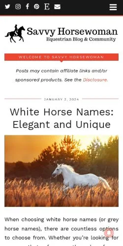 Sponsorlu makaleler için Amerika Birleşik Devletleri medyası Savvy Horsewoman sitesinin önizlemesi