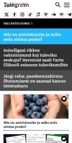 Sponsorlu makaleler için Estonya medyası Telegram sitesinin önizlemesi