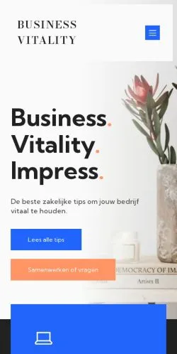 Anteprima del sito Business Vitality, media di Paesi Bassi per articoli sponsorizzati