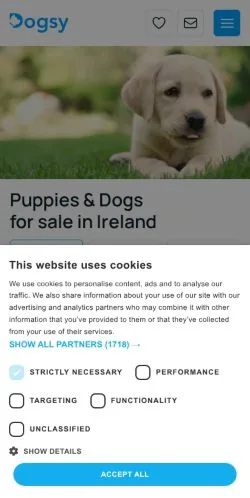 Anteprima del sito Dogsy, media di Irlanda per articoli sponsorizzati