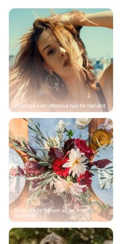 Anteprima del sito Ensam Mamma, media di Svezia per articoli sponsorizzati