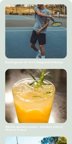 Podgląd witryny Herr Experten, medium z kraju Szwecja do artykułów sponsorowanych