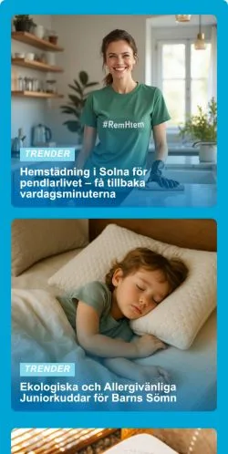 Anteprima del sito Lev Ditt Liv Nu, media di Svezia per articoli sponsorizzati