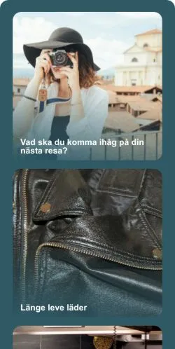 Anteprima del sito Livs Guidning, media di Svezia per articoli sponsorizzati