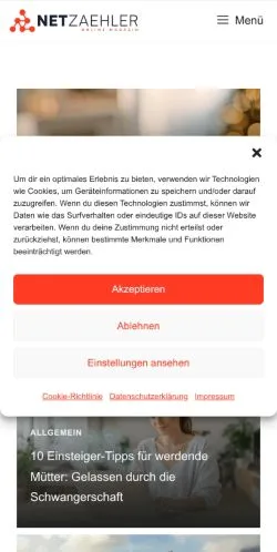 Anteprima del sito Netzaehler, media di Germania per articoli sponsorizzati