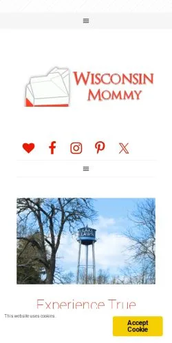 Podgląd witryny Wisconsin Mommy, medium z kraju Stany Zjednoczone do artykułów sponsorowanych