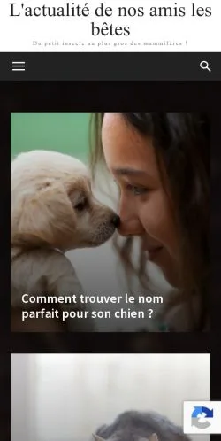 Anteprima del sito Actualité Animale, media di Francia per articoli sponsorizzati