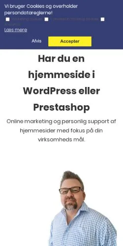 Anteprima del sito Websitesupport, media di Danimarca per articoli sponsorizzati