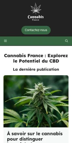 Vista previa del sitio Cannabis France, medio de Francia para artículos patrocinados