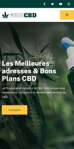 Forhåndsvisning av nettstedet Guide CBD, medium fra Frankrike for sponsede artikler